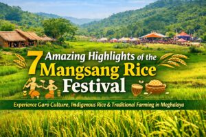 Mangsang Rice Festival